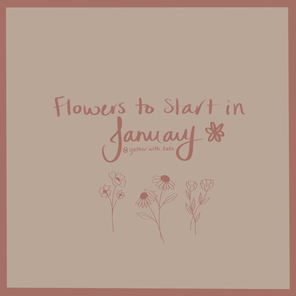 Grow a Stunning Flower Garden: Best Seeds for&nbsp;January