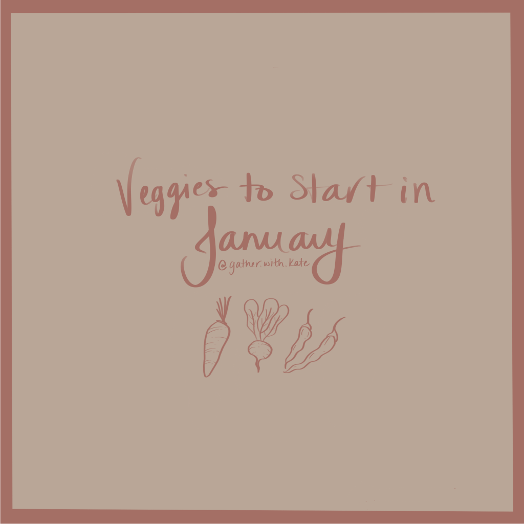 Winter Gardening: Best Seeds to Start Indoors in&nbsp;January