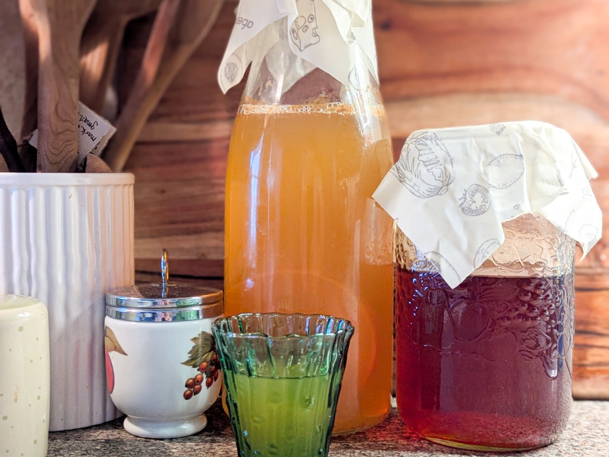 How to Make Homemade Kombucha: A 3-Step Guide to Brewing Your&nbsp;Own