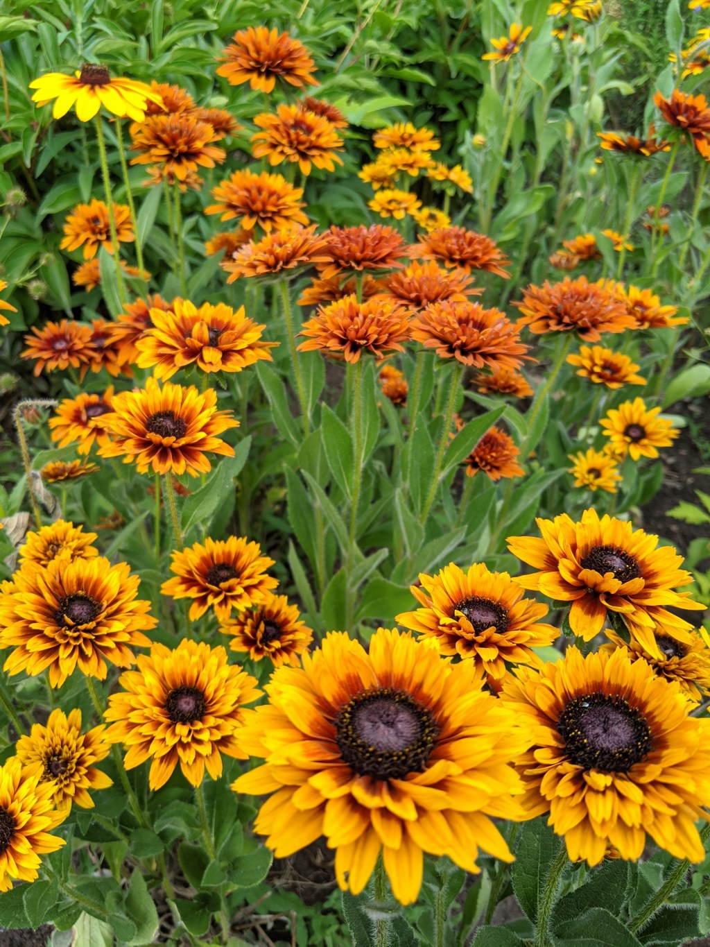 Best Gardening Tools and Accessories for a Thriving&nbsp;Garden